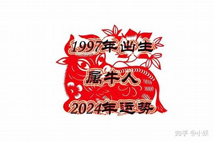 香港大师说属马2024年运程