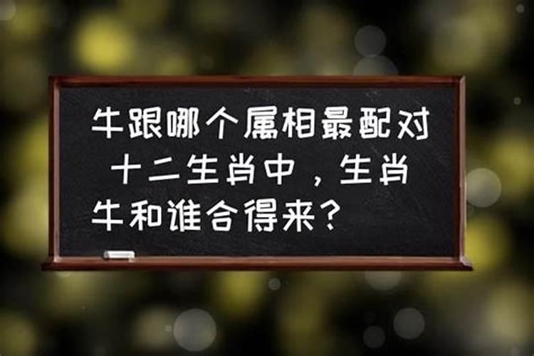 今年属什么犯太岁2022年