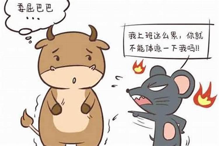 同性姻缘八字怎么看