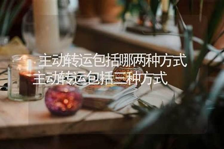 转运包括什么过程