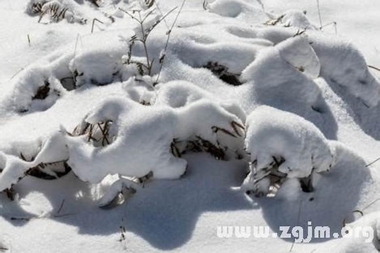 梦见三月天下雪了