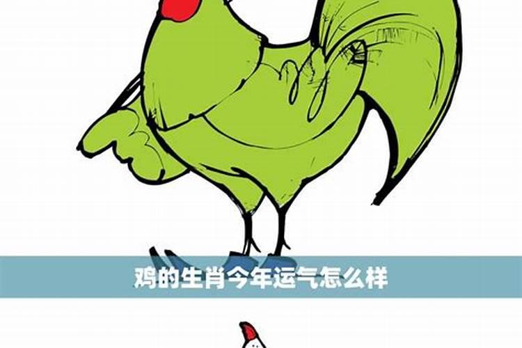 属鸡的2023年下半年的运势怎么样