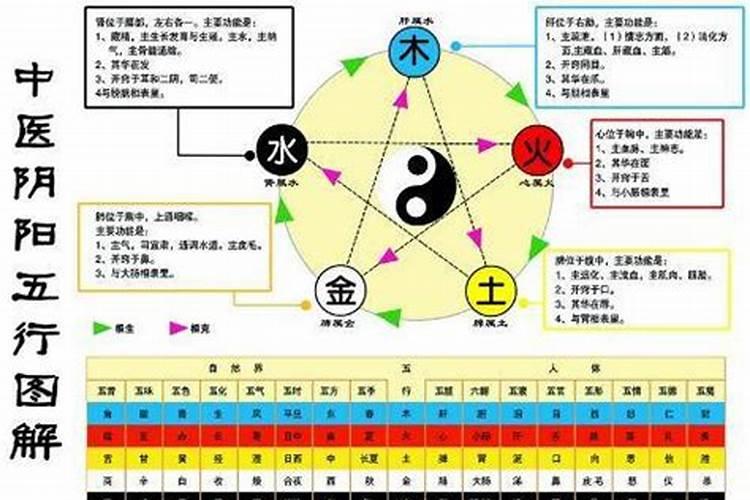 哪个生肖属金生水