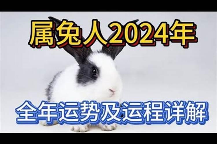 属兔人2024年运势女