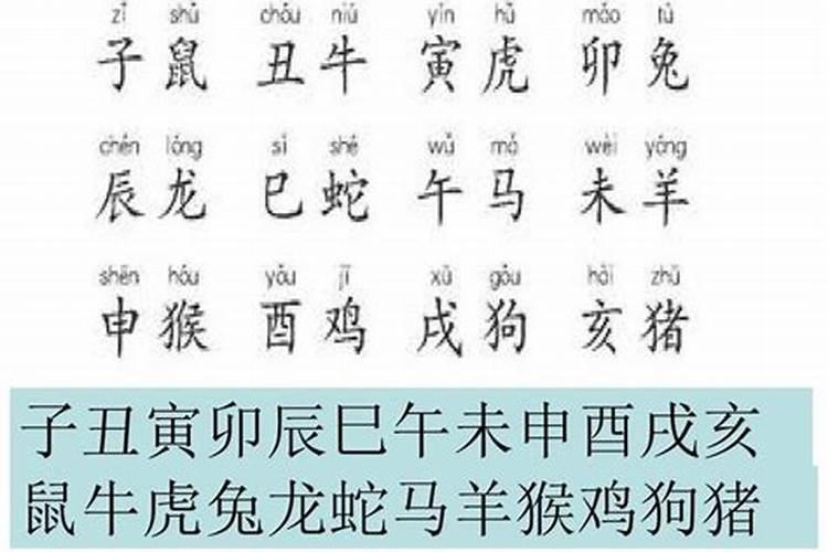 八字中有三个亥的后果