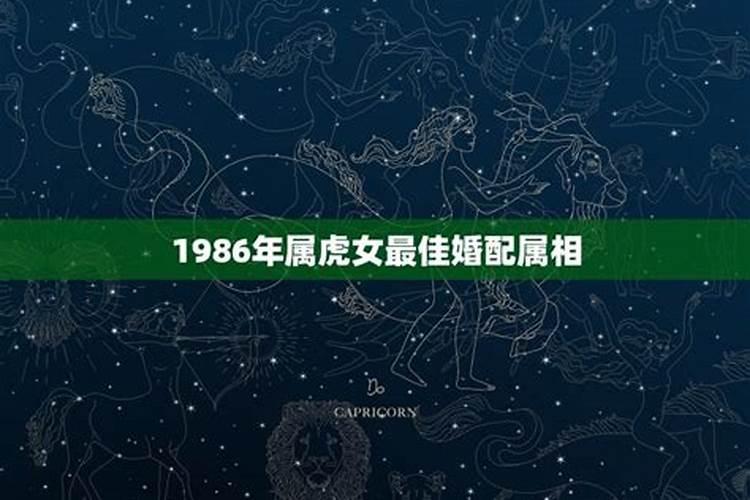 1986属虎婚配最佳属相