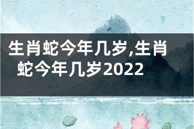 1953年属蛇今年多少岁