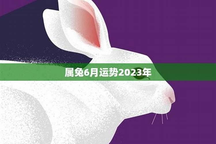 属兔人6月运势2021