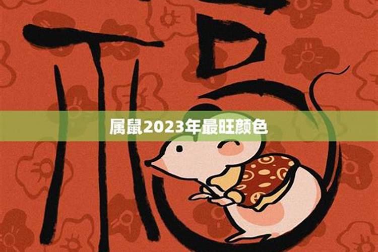 属鼠2023年运势及幸运颜色