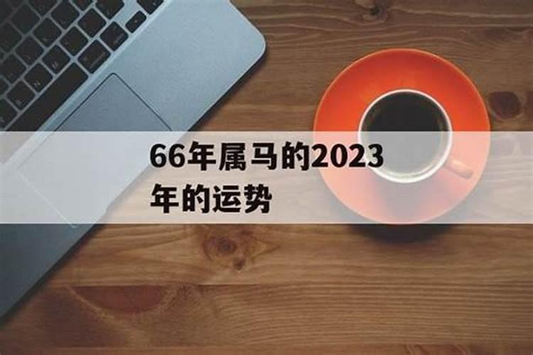 66年属马的人在2023年的运势