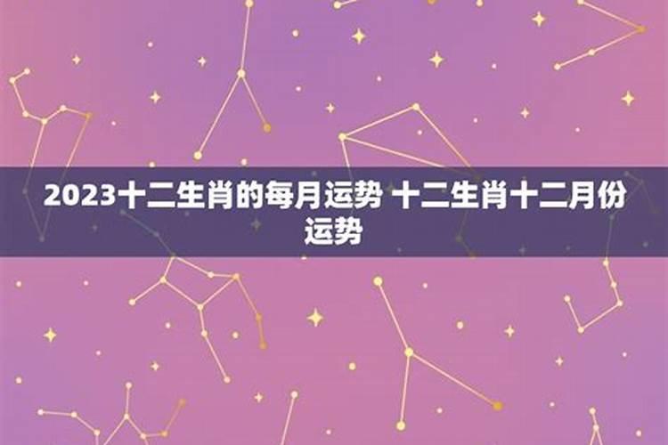 12生肖12月运势完整版