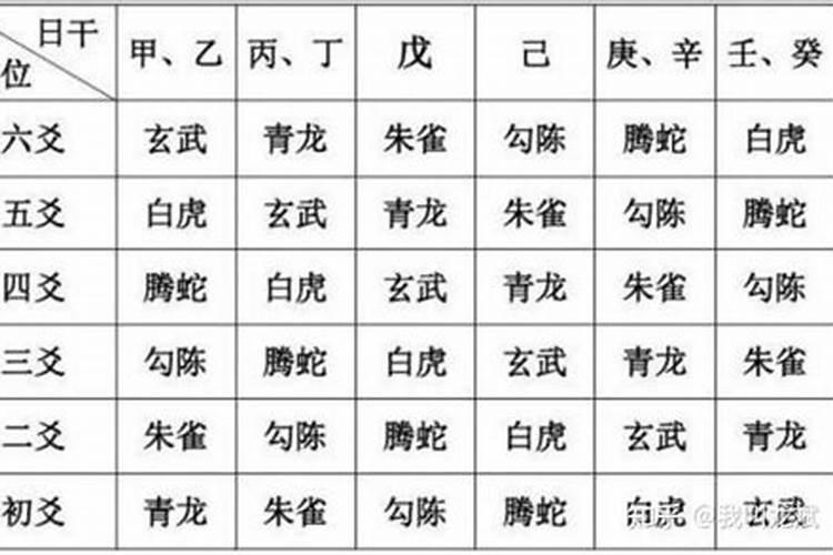 猪年宝宝2024年运势及运程