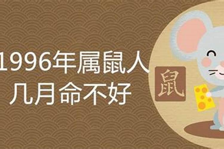 属鼠的96年的11月出生男命运