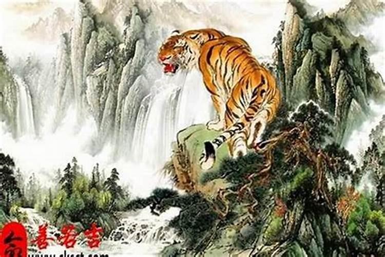 猪年属虎的人怎么破太岁