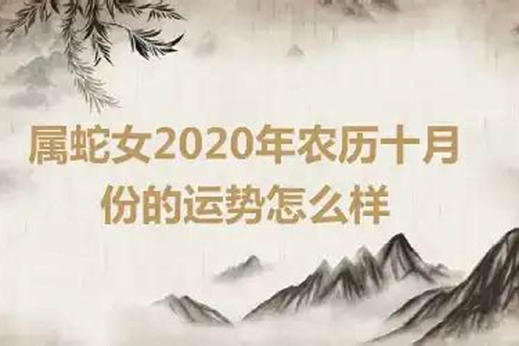 属蛇十月份运势如何2020