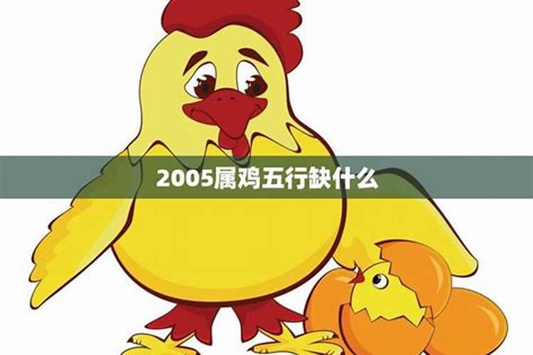 2005属鸡的是什么命人