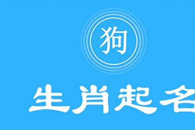 狗年宝宝生辰八字宜忌什么字