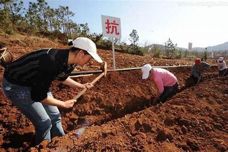 梦见好多人挖路看见土