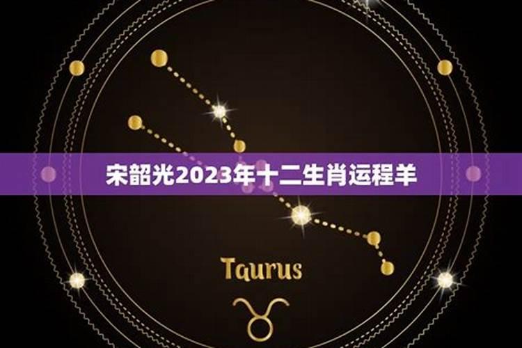 宋韶光2021年生肖幸运颜色