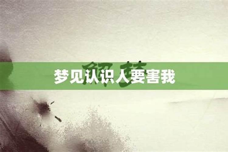 梦见对象害我