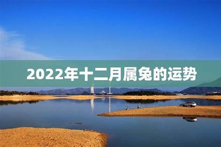 属兔十二月份运势2022