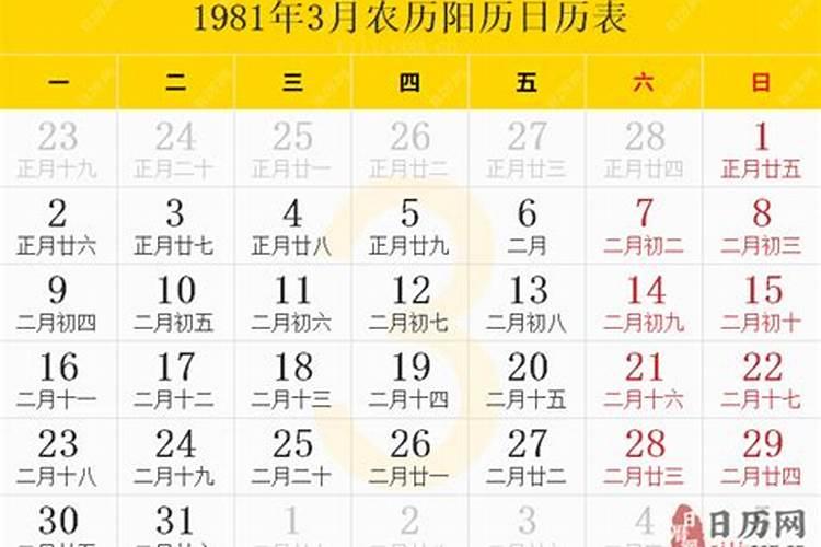 1981年农历七月十六的命运