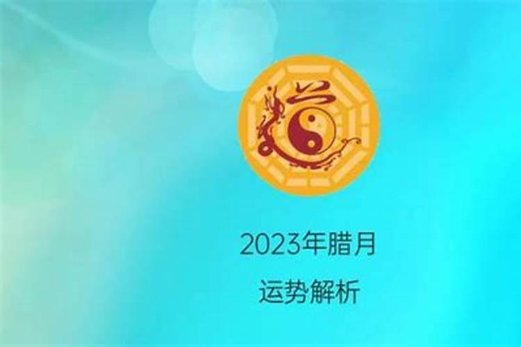 2023年腊月马宝宝运势如何