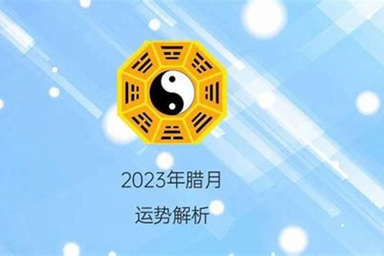 2023年腊月马宝宝运势如何看