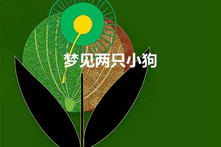 梦见两只小狗跟着我走好不好