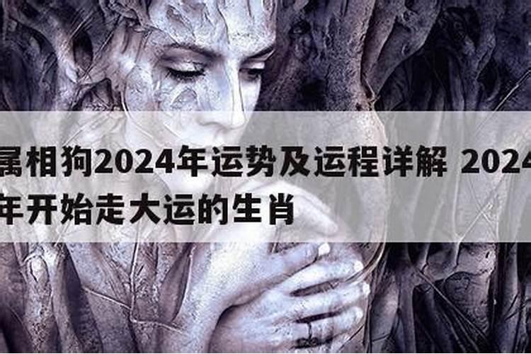 梦到我抱了一只猫回家