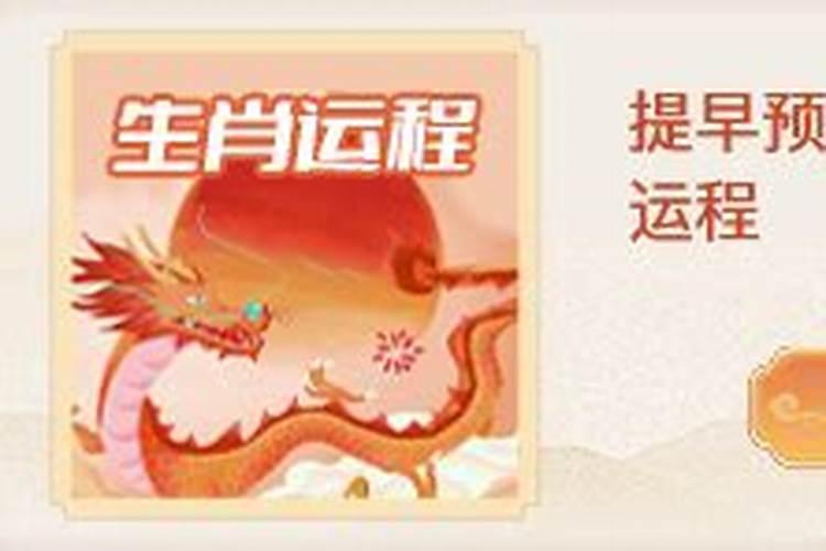 属龙今年的桃花运势