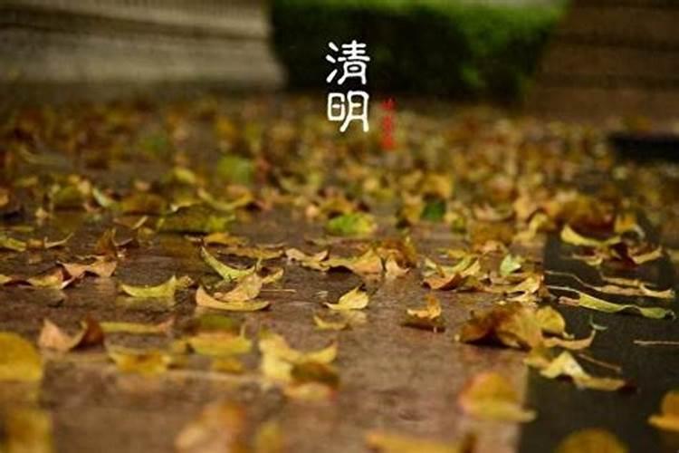 清明节提前几天上坟最好吗为什么