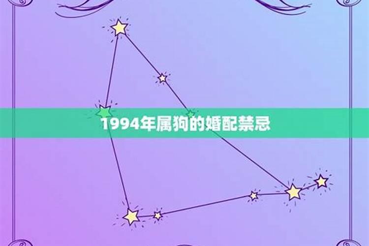 1994年属狗的婚配