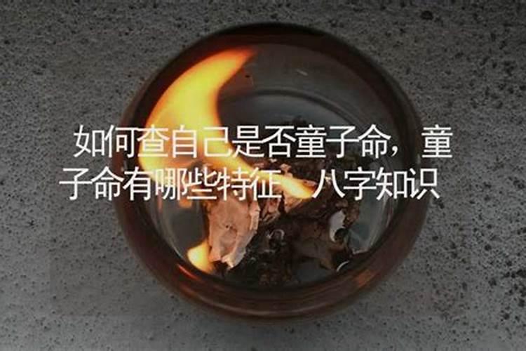 算命说紫气来是什么意思