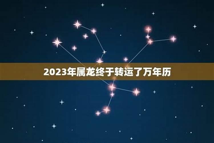 属牛人2023年运势