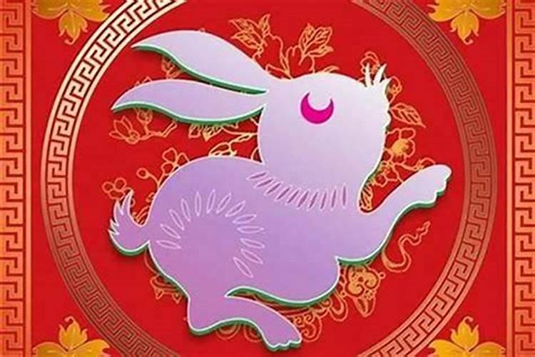 87年的兔子今年的命运