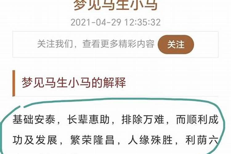 梦见很多马儿什么意思啊