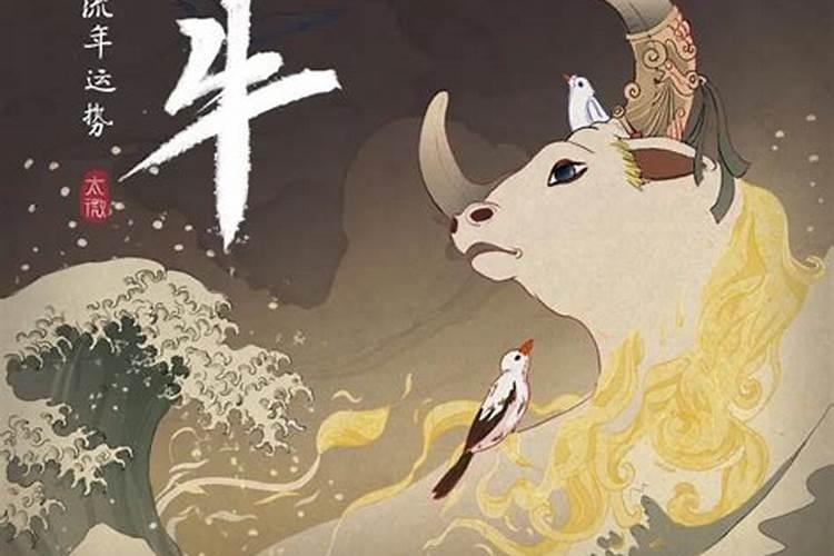 本命年虎年能创业吗