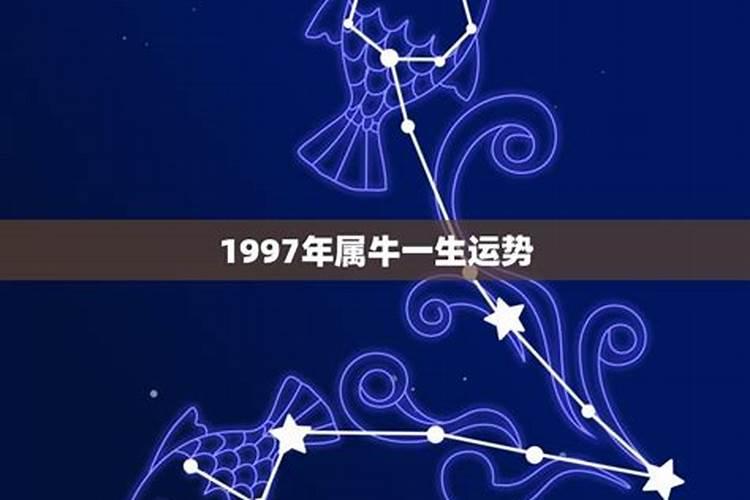 1997属牛一生运势如何