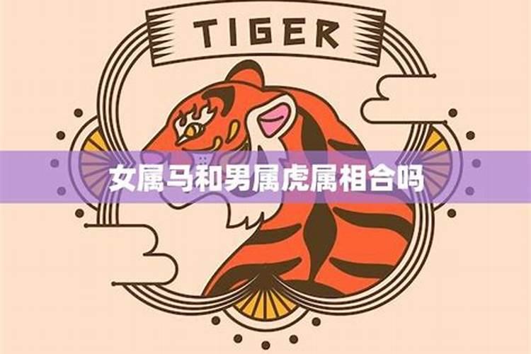 属虎和属马相合吗