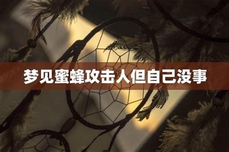 梦见被蜜蜂攻击好不好呢