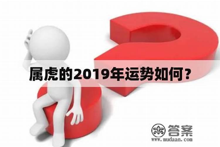 看一下2019年的运势