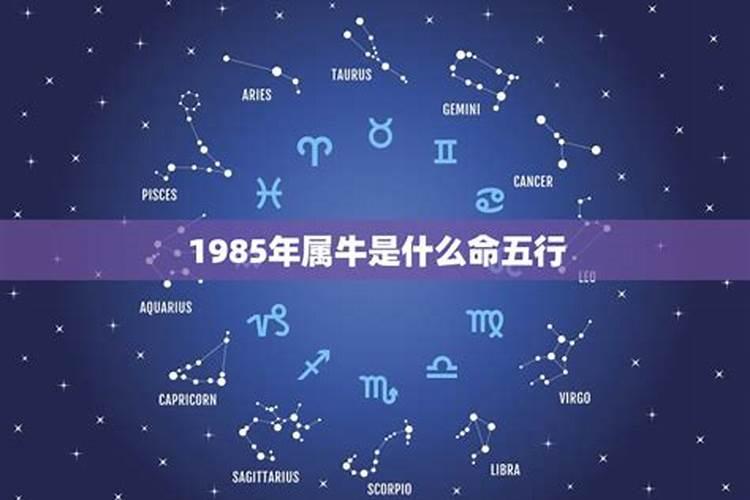 1985丑牛五行属什么的