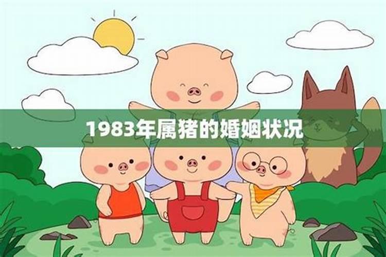 1983年属猪的一生婚姻状况如何