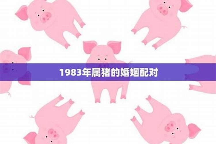 1983年属猪婚姻