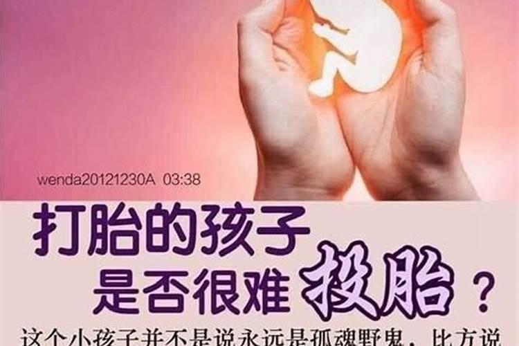 虎的小人属相是什么