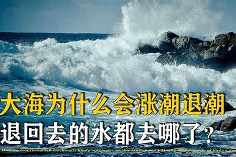 梦见大海涨潮退潮被淹没什么意思