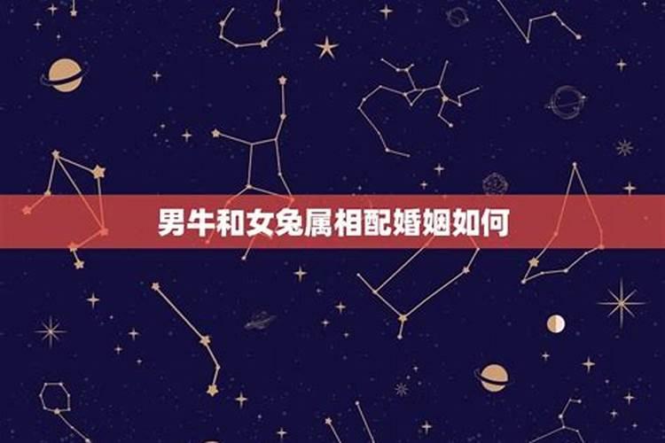 算命说我八字不合