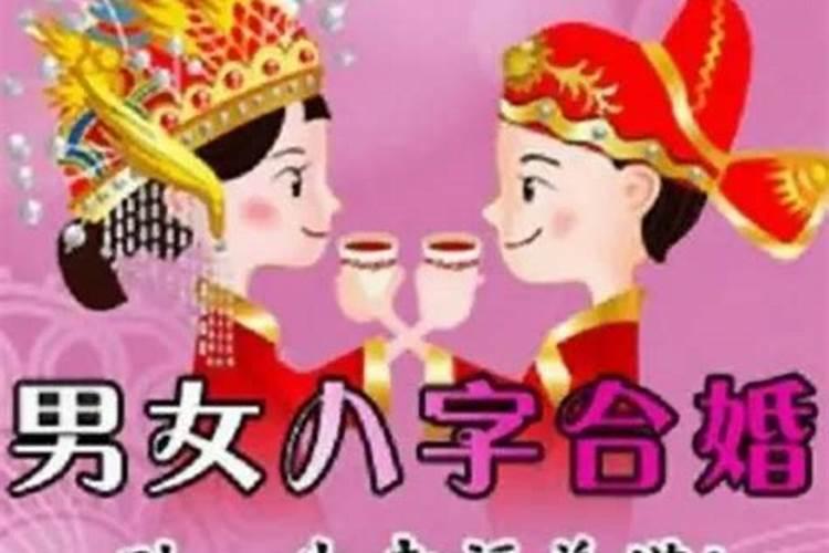 属猪和属兔合婚吗