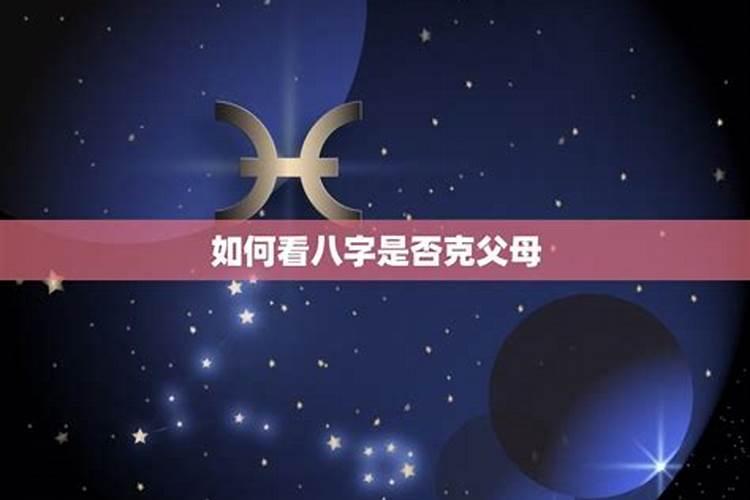 属蛇的2024年的运程怎么样